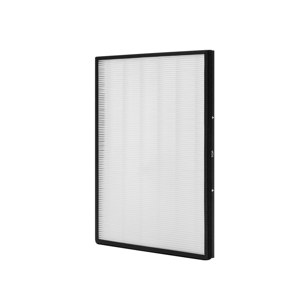 AEG AFWCAR3 BESCHERMINGSFILTER