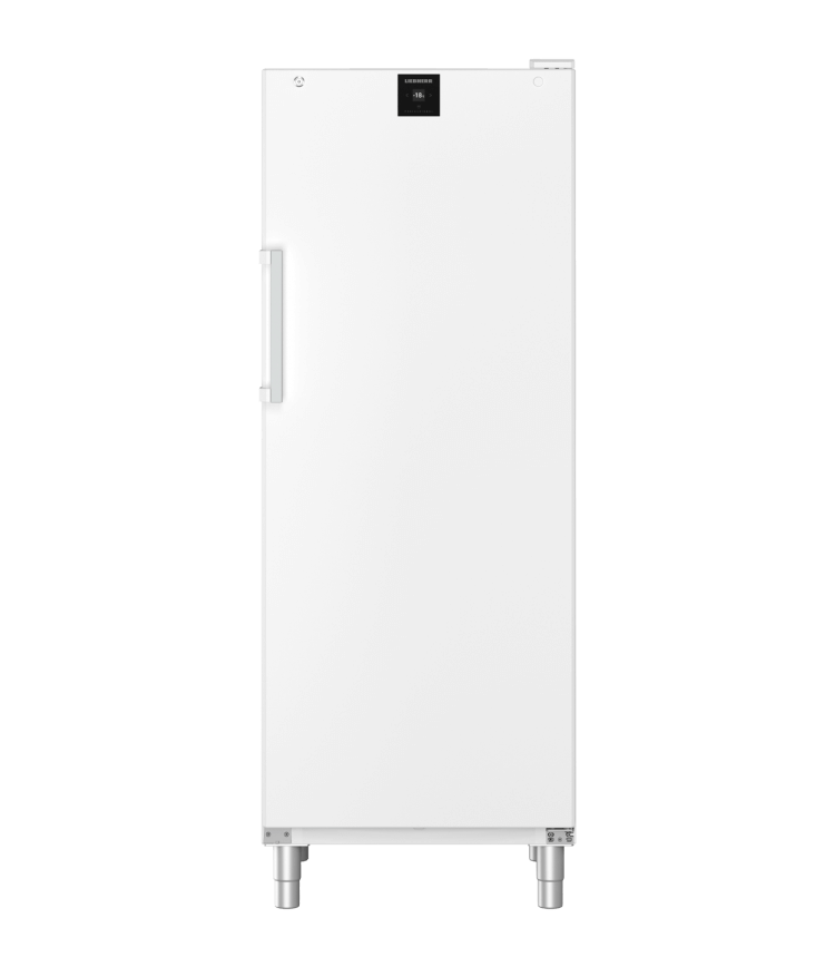 Liebherr FFFsg 6501/924