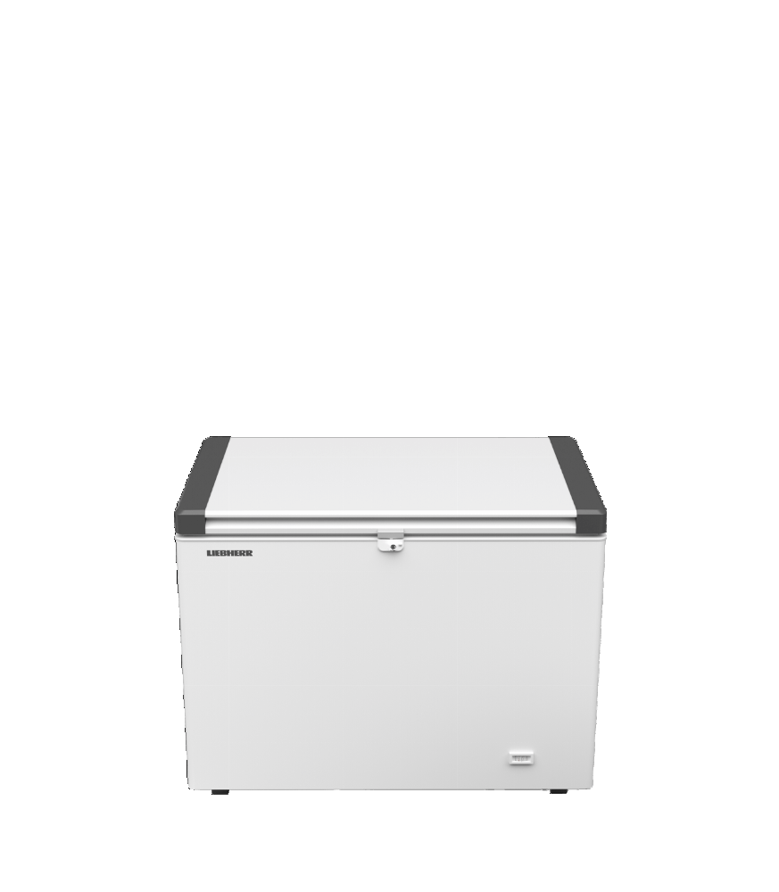 Liebherr EFL 3055-21