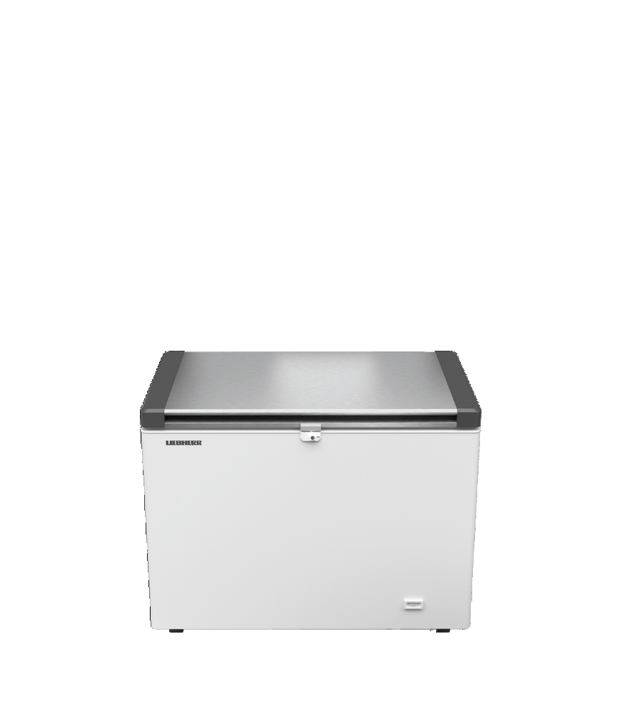 Liebherr EFL 3056-21